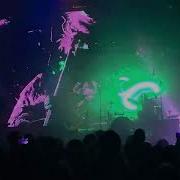 Mammoth Stone Live 2025