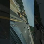 Snake On A Truck