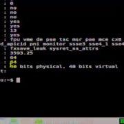 How To View CPU Information In Linux Shell Terminal