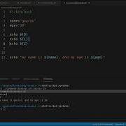 Shell Script Tutorials 12 Command Line Argument In Shell Script In Hindi