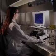Fluorescence Microscope Demo Video EVOS FL