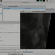 Volumetric Gpu Raycaster