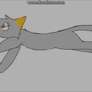 Cat Run Cycle Test Animation