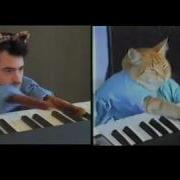 Keyboard Cat Vs Ron Livingston