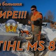 Бензопила STIHL MS 881 гигант среди бензопил Как такой работать покажу и расскажу