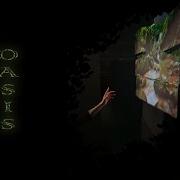 Digital Oasis Installation Winter 2018 19