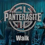 Panterasite Walk Underground Music Cafe 11 15 2025