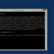 4 3 Command Line Debugging