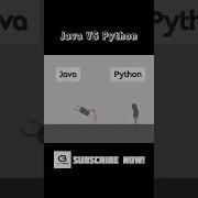 Java VS Python Funny Meme Softwareengineer Python Java
