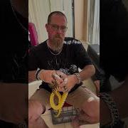 My Baby Woma Python Has Laid Eggs