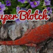 Gargoyle Gecko Morph Superblotch