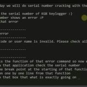 Reverse Engineering Serial Cracking