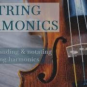 Understanding String Harmonics