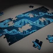 Enhancing Machine Learning Models Using Genetic Algorithms