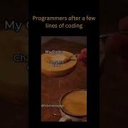 Programmers Using ChatGPT Be Like Codingmemes