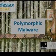 Polymorphic Malware CompTIA Security SY0 401 3 1
