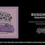 Buggin Brainfreeze