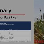 Data Management Data Dictionary