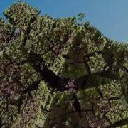 Mandelbulber Key Frame Animation Test