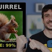 Классификация изображений пользовательские данные обучение Yolov8 в Google Colab бесплатно Уч