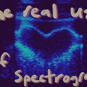 The Real Use Of A Spectrogram