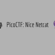 PicoCTF Nice Netcat Walkthrough