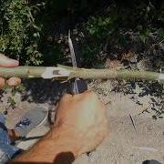 Microtech Combat Troodon Hard Use Test