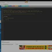 Uma Introdução Ao GDB Online