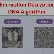 Image Encryption Decryption Using DNA Algorithm Image Encryption Decryption Using Matlab Code