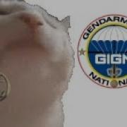 Gign Theme Be Like