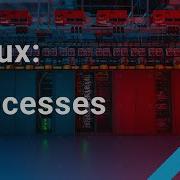 Linux Processes