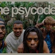 The Psycodelics Full Set Live Music Sugarshack Sessions