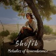 Shofik Melodies Of Remembrance Album Mix Positive Energy