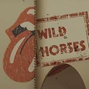 The Rolling Stones Wild Horses Acoustic Lyric Video