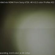Atomos Ninja V 4 2 2 Color Vs Sony A7SII Internal 4 2 0 Color