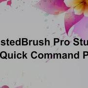 TwistedBrush Tutorials Using The Quick Command Panel