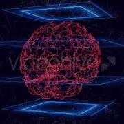 Plexus Brain 2 PRE