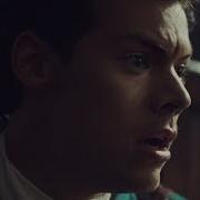 Harry Styles Kiwi
