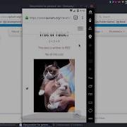 Do Not Input Information Into WebView