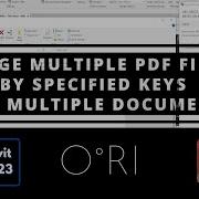 Dynamo Merge Multiple PDF Files By Specified Keys Into Multiple Documents Revit 2023