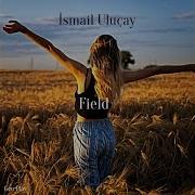 Field