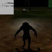 Directional Shadow Mapping