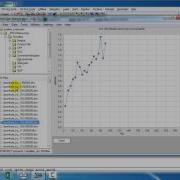 Downhole Variogram