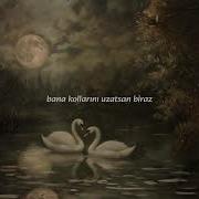 Esin Engin Seven Ne Yapmaz Lyrics