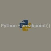 Python Breakpoint