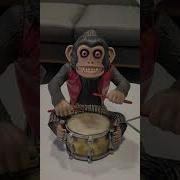 THE MONKEY Is Real