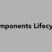 JavaScript 014 Component Life Cycle