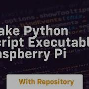 Make Python Script Executable Raspberry Pi