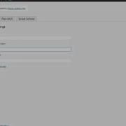 API Setting Tab Masterdigm Wordpress Plugin