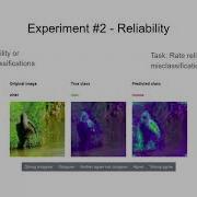 Evaluation Of Saliency Based Explainability Methods
